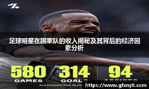 足球明星在国家队的收入揭秘及其背后的经济因素分析